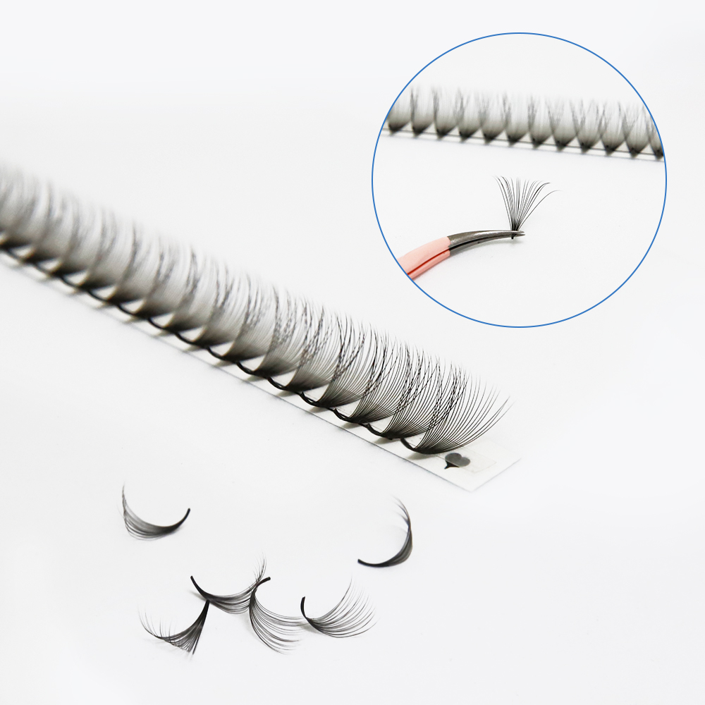 JB Jeyelabeau 6D 10D 20D 30D P - đánh giá và giá Eyelash Extension Russian